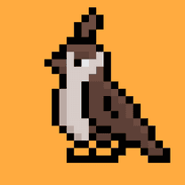 Classic Birds NFTs